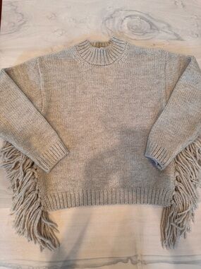 Zara Heather beige Fringed Crew neck Sweater